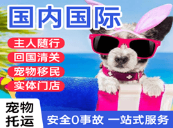 张家界航空邮寄国际宠物托运 【国